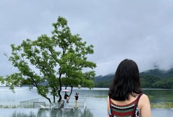 思无邪·逍遥游·餐厅 User Photo