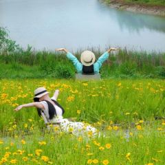 Le serein 여행 사진