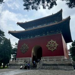 庆元亨 User Photo