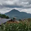 行走在民间的艺术家