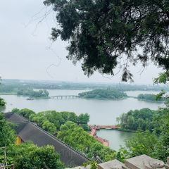 無錫魯能萬豪飯店·萬豪中餐廳張用戶圖片