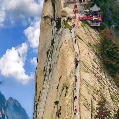 Cai Feng Lou Chinese Restaurant 여행 사진