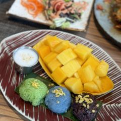 Mango Tree User Photo