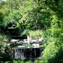 SEN Cuisine User Photo