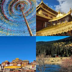 Dormito Cafe User Photo