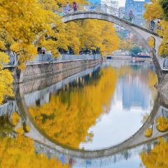 A MUSHROOM User Photo