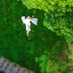 MOJ coffee(楠溪江石柱店) User Photo