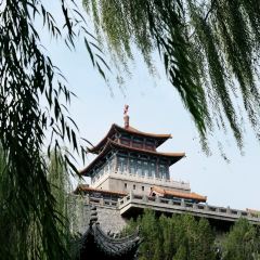 孙家糖油条 User Photo