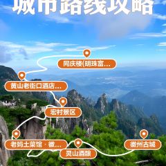 秀嫂挞粿 User Photo