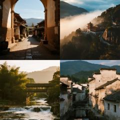 Cheng kan mao dou fu User Photo