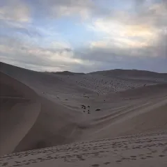 李广记杏皮茶 User Photo