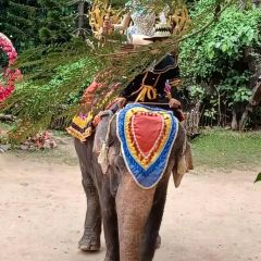 MongChang Cafe User Photo