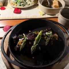 1484 By Puro User Photo