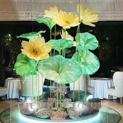 BKK Social Club User Photo