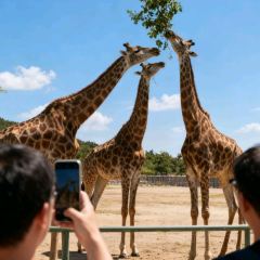 海鲜大咖(杏林西区店) User Photo