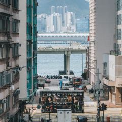 Stone Coffee張用戶圖片