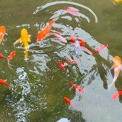 全福农庄 User Photo