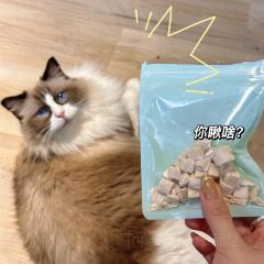 MioCat&Dessert猫咖 User Photo