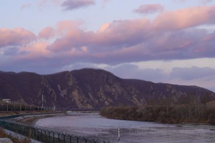 盛华冷面(地下商场店)