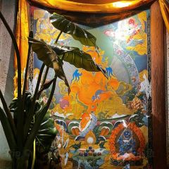 源一之青朴咖啡馆(酒吧街店) User Photo