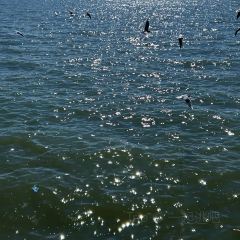 泊隐·花境 User Photo