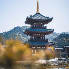 五台山万豪酒店·紫府名厨全日西餐厅 User Photo
