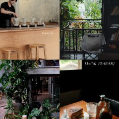 Rosettacoffee User Photo