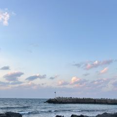 레이지펌프 여행 사진