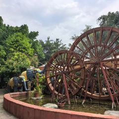 品德宏·孔雀宴的发源地(金塔园店) User Photo