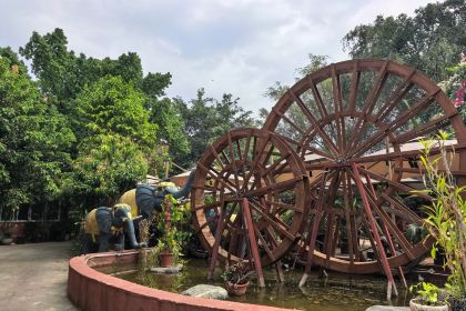 品德宏·孔雀宴的发源地(金塔园店)