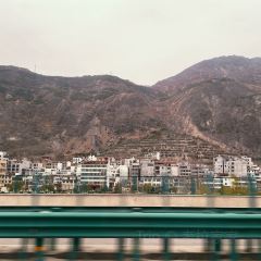西域烤肉張用戶圖片