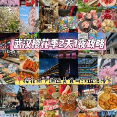 虎子烧烤(民族大道直营店) User Photo