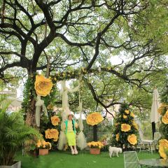 24H color咖啡廳張用戶圖片