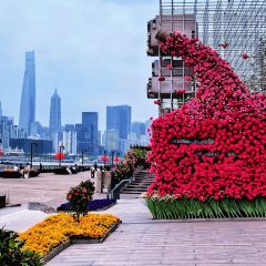 Hacker-Pschorr User Photo