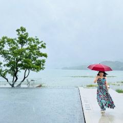 思无邪·逍遥游·餐厅 User Photo