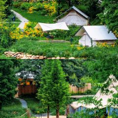 小杭坑2号营地 User Photo