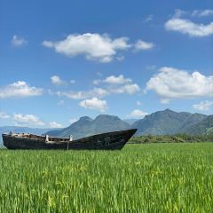 在发呆·lan's浪肆咖啡庄园 User Photo