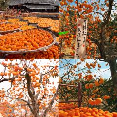 Yaojia Restaurant User Photo