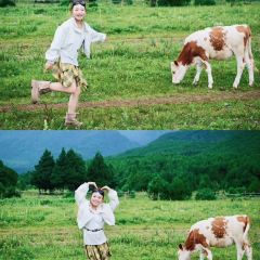 zhen箴尚美·心生态私房菜(玉湖村店) User Photo