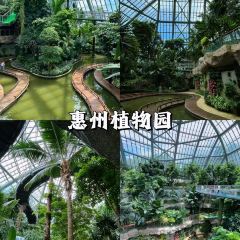 XING JI SUGAR CANE ICE User Photo