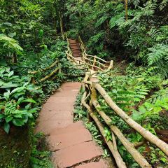 长安酒家 User Photo