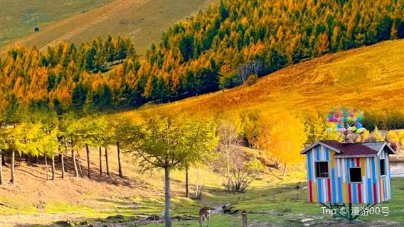 liu shu gou zi ran jing qu