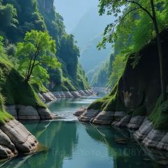 Baijiazhaobing User Photo