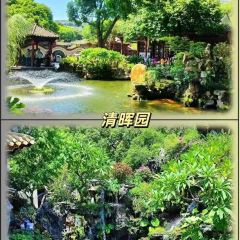 FengCheng ShuangPi Nai User Photo