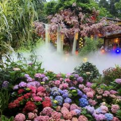 芙蓉裡•小漁村 （金星路店）張用戶圖片