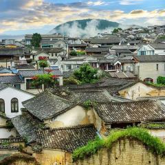 邓氏大薄片 User Photo