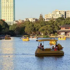 王阿姨梅花糕 User Photo