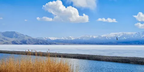 三台海子