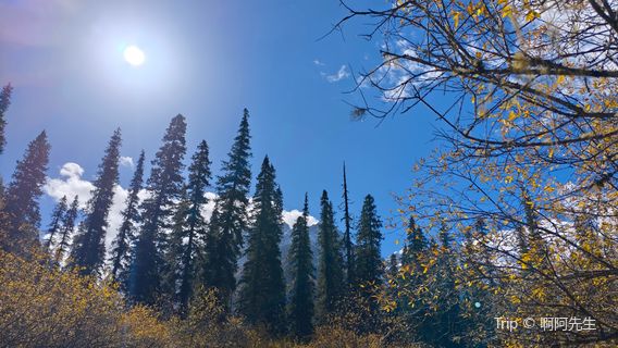 wang lang jing qu gan hai zi