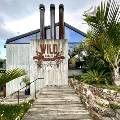 Wild on Waiheke Activities User Photo